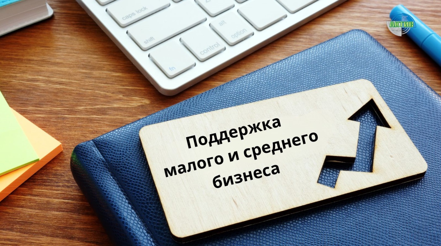 К.Ж. Токаев поручил перезагрузить политику поддержки МСБ до 1 апреля 