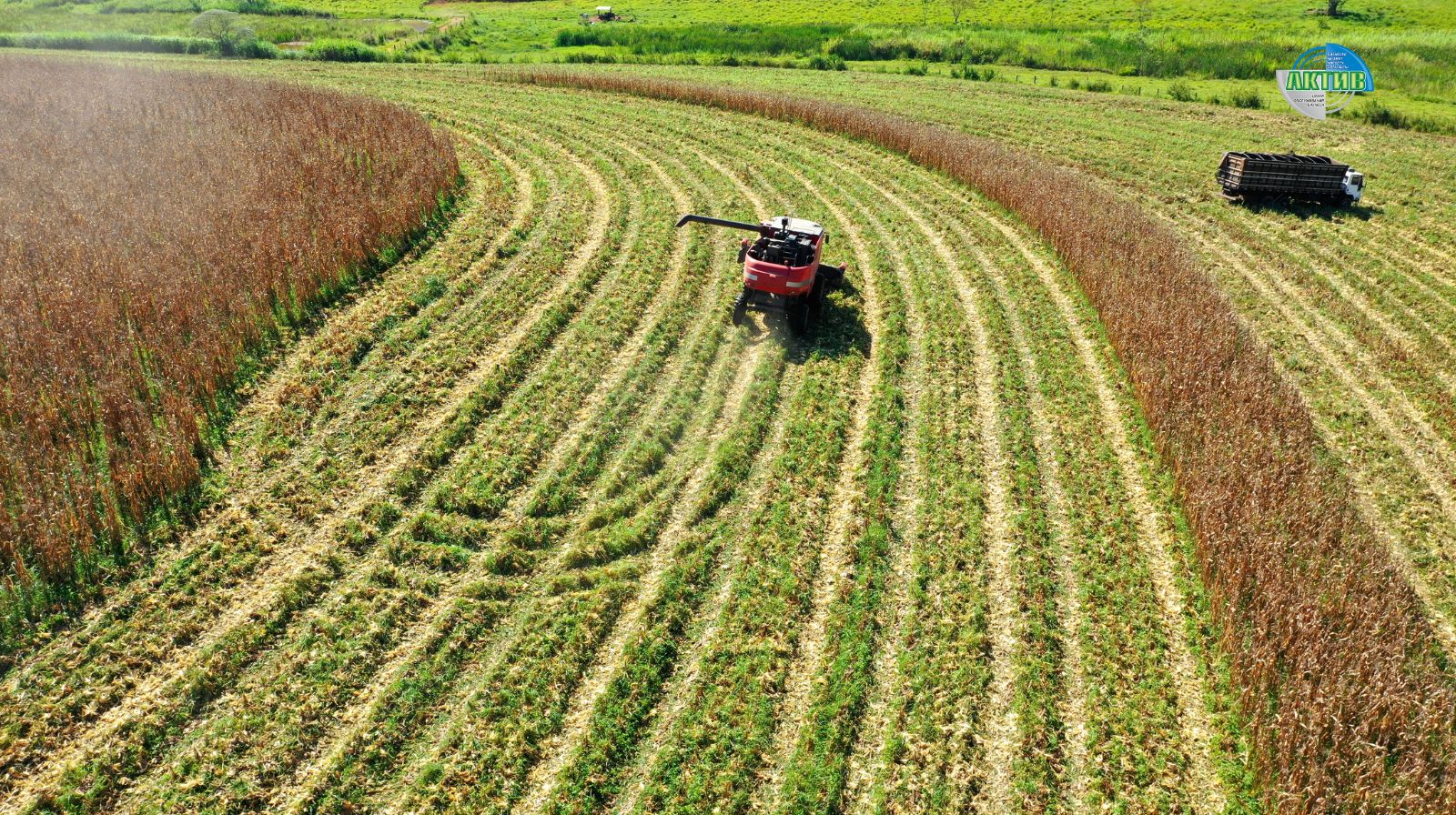 Новые условия субсидирования кредитов для субъектов АПК
